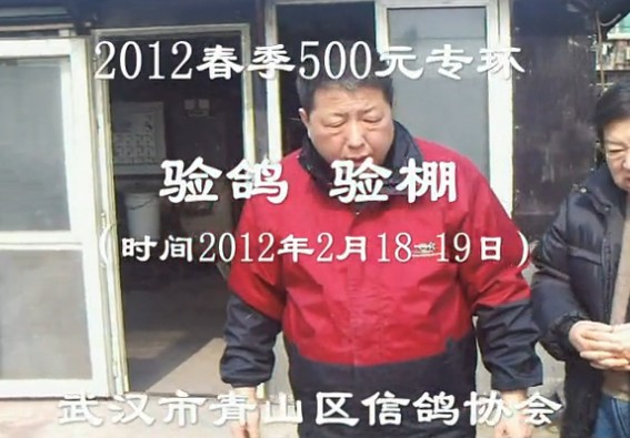 武汉市青山区信鸽协会2012年春季500元专环验鸽验棚