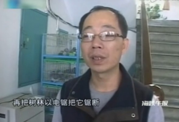 彩带吓鸽树林架网 台警方破获掳鸽集团