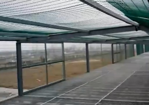 河南濮阳市红鼎赛鸽公棚隆重开业