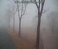 鹏飞顺杰:3月5日早120公里训放视频